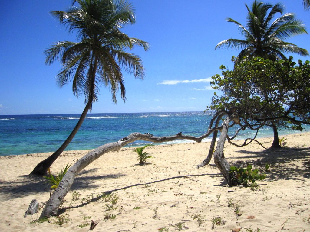 Les vacances en Guadeloupe se passent bien : magnifique plage de Marie-Galante