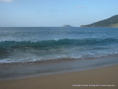 plage grande anse Guadeloupe