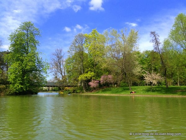 Promenade en barque sur le lac Daumesnil et près des cerisiers en fleurs