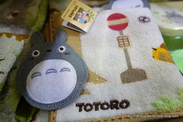 Fans de Totoro, êtes-vous là ?