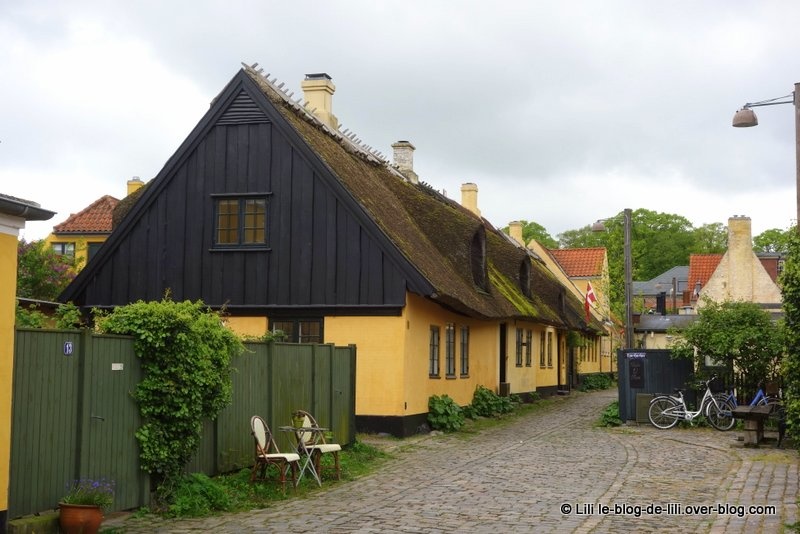 Dragør, l'âme d'une ancienne ville de pêcheurs au Danemark