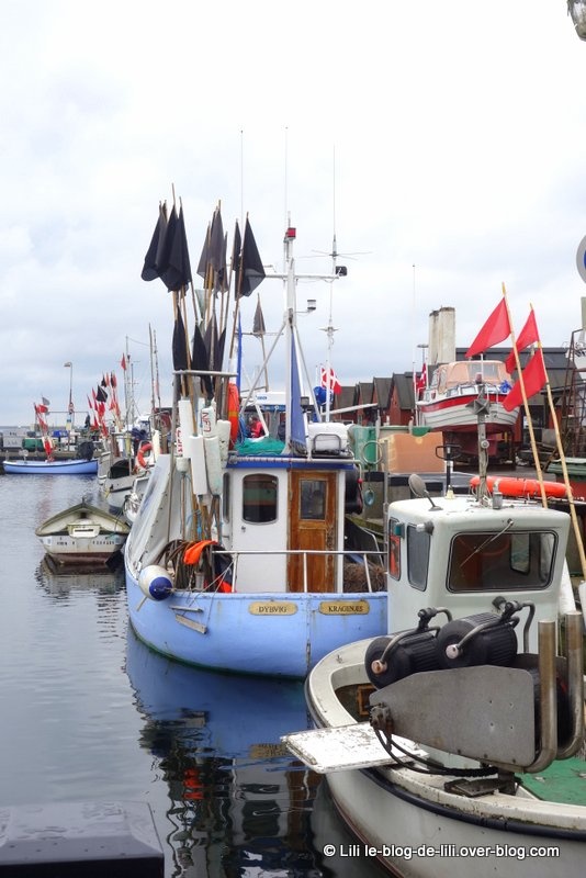 Dragør, l'âme d'une ancienne ville de pêcheurs au Danemark