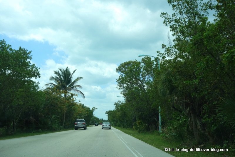 Key Biscayne : une île paisible au sud de Miami