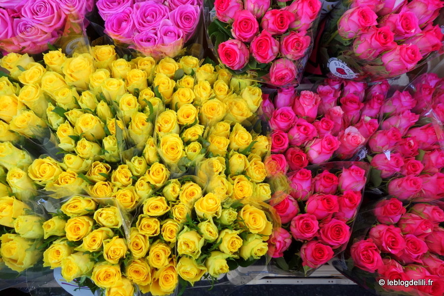 Le marché aux fleurs de Columbia road, la magie des couleurs à Londres