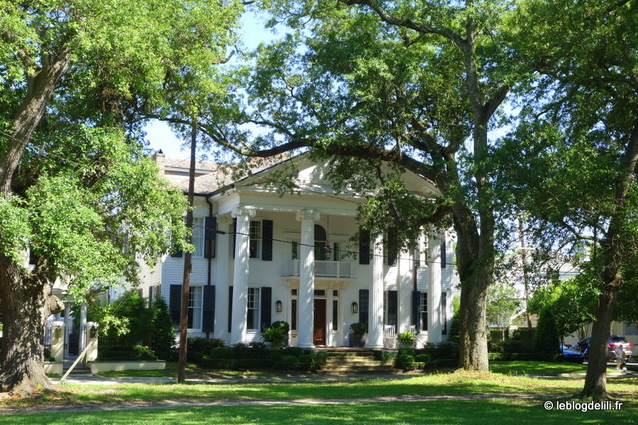 Voyage en Louisiane : la Nouvelle-Orléans côté jardins et université