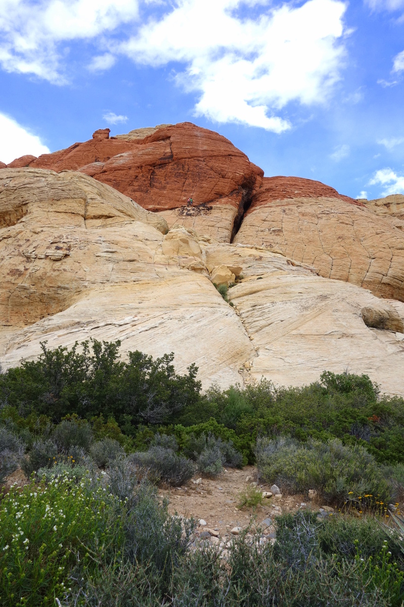 Red Rock Canyon National Conservation Area - États-Unis - Le blog de Lili