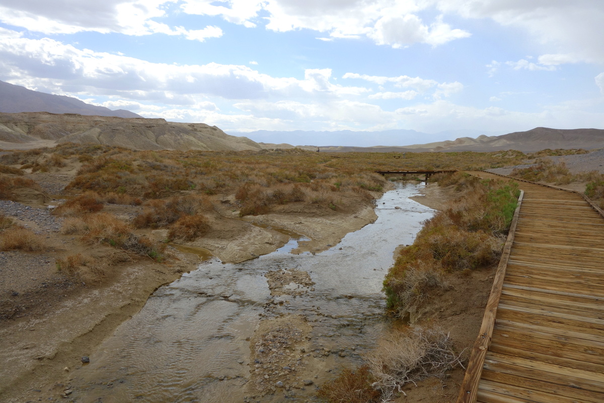 Salt Creek Interpretive Trail - Vallée de la mort - Californie - Le blog de Lili