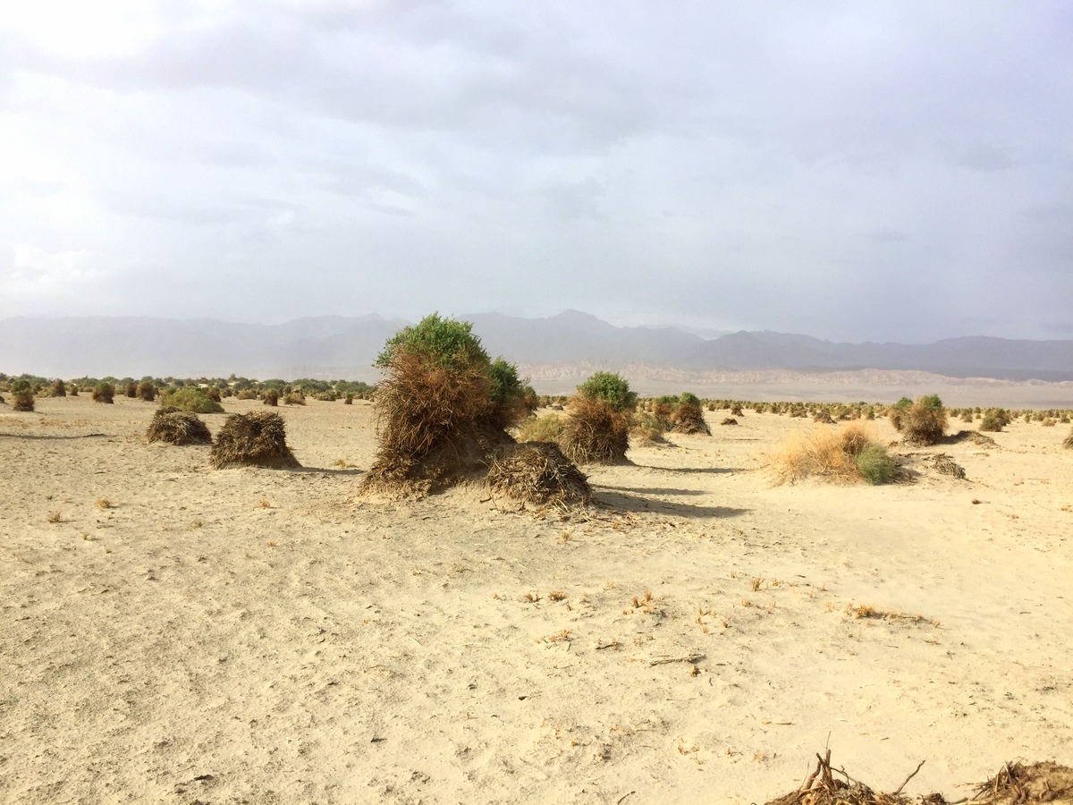 Sand Dunes - Death Valley - french travel blog