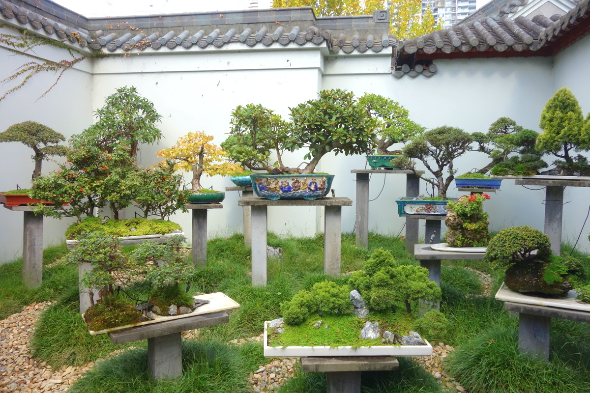 Chinese Garden of Friendship - 5 jours à Sydney - Blog de Lili, voyage
