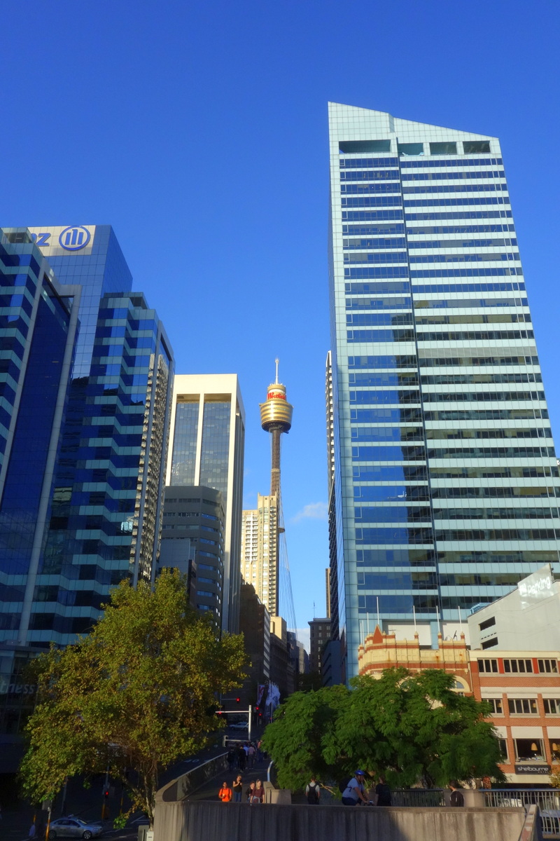 Sydney Tower Eye - 5 jours à Sydney - Blog de Lili, voyage