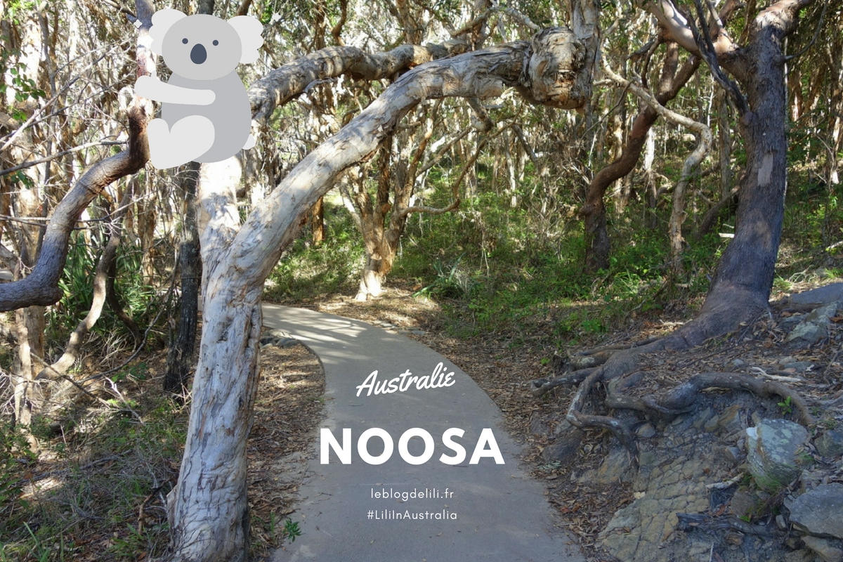 Voyage en Australie - Noosa - Le blog de Lili