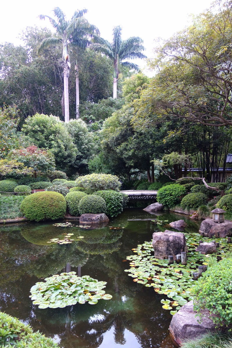 Voyage en Australie : Brisbane, le jardin botanique