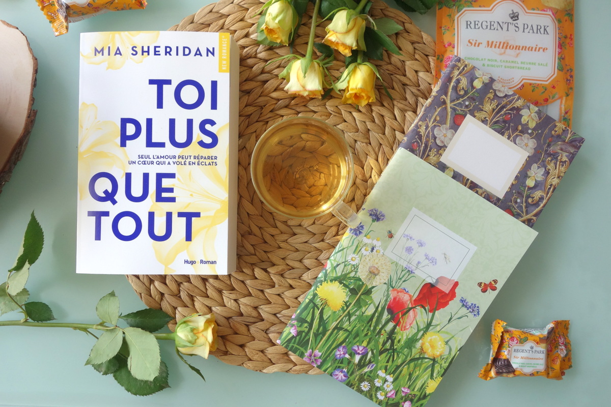 Toi plus que tout, Mia Sheridan, Hugo new romance - Le blog de Lili