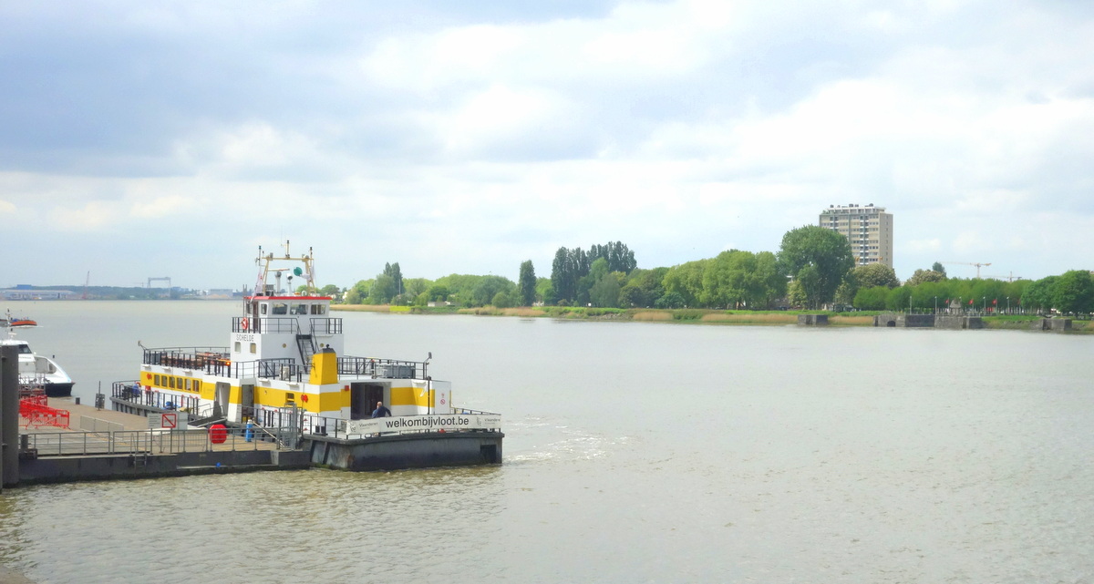Le port d'Anvers, en Flandre