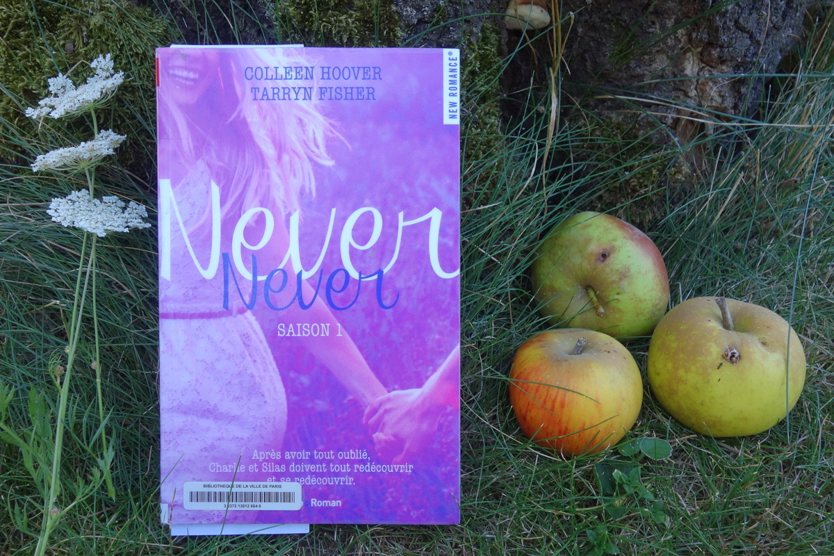 "Never Never" saison 1, de Tarryn Fisher et Colleen Hoover