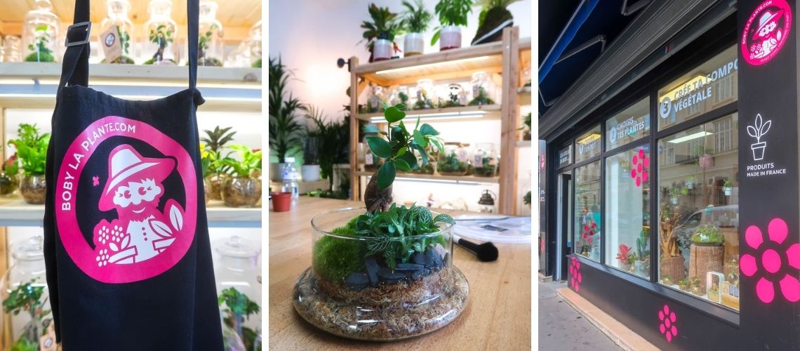 Kit terrarium 3 plantes DIY Jardin d'Asie & Bocal - Les Beauxtanistes