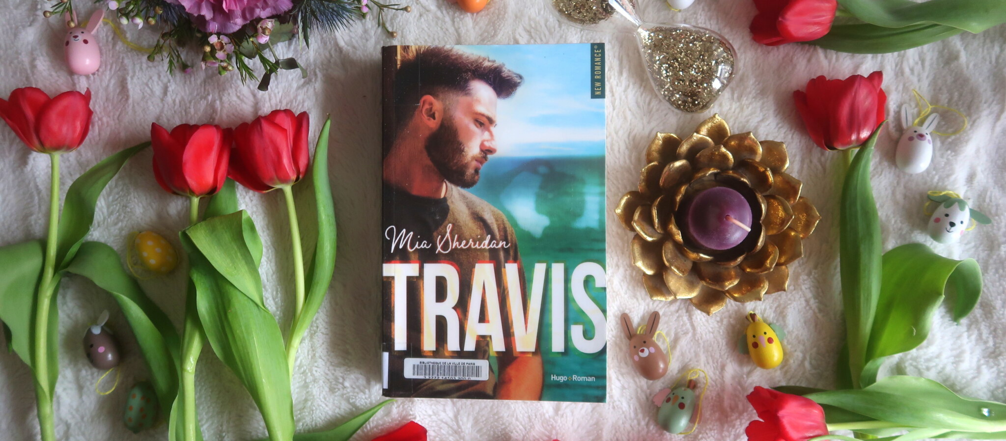 Travis un récit du lac Pelion, de Mia Sheridan Le